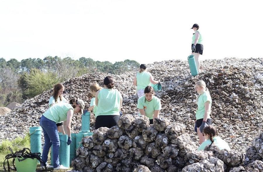 <a href='http://threatassessment.shootapp.net'>和记棋牌娱乐</a>的另类春假学生组织三月份去了罗斯玛丽海滩, Florida, 他们的工作包括将牡蛎壳装袋，作为珊瑚礁重新造林项目的一部分. (Submitted photo)